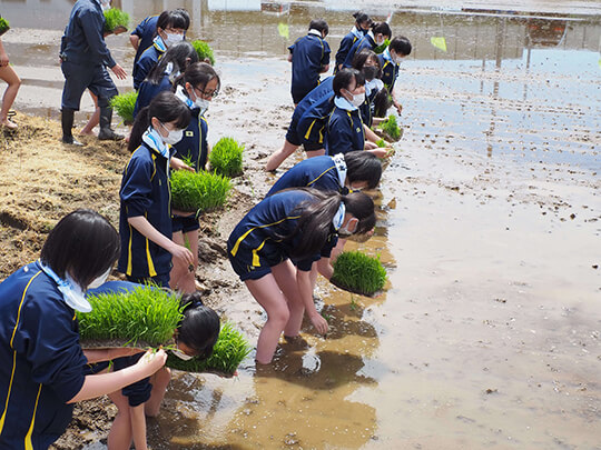 田植え（食物健康科1年）