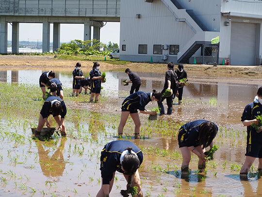 田植え（食物健康科１年）